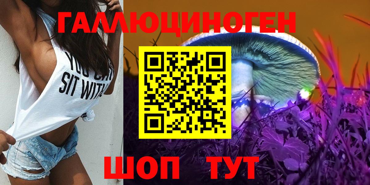 Галлюциногенные грибы Psilocybine cubensis  Чита 