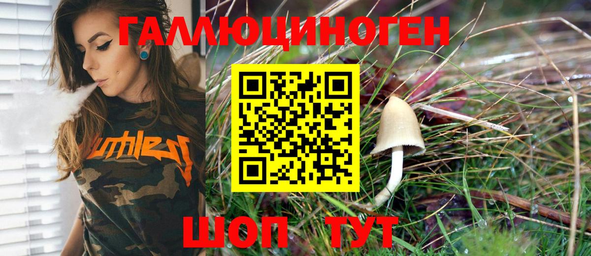 Галлюциногенные грибы прущие грибы Чита